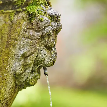 The Old Coach House 5* 리펀